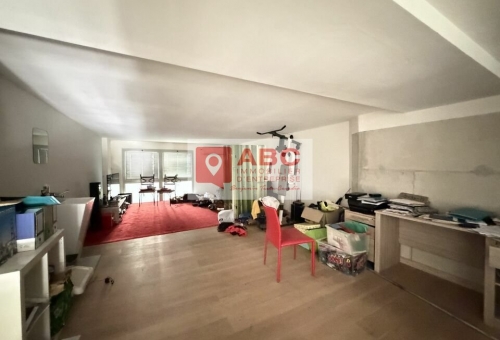 LOCAL COMMERCIAL A LOUER A CASTELNAU LE LEZ 