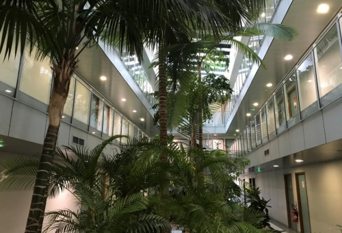 Bureaux de standing à louer - MONTPELLIER