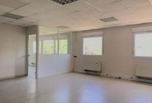 Bureaux à louer à Montpellier, Prés d'Arènes : 555 m² environ divisibles à partir de 270 m²
