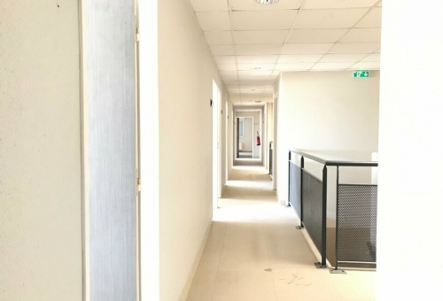 Bureaux à louer à Montpellier, Prés d'Arènes : 555 m² environ divisibles à partir de 270 m²