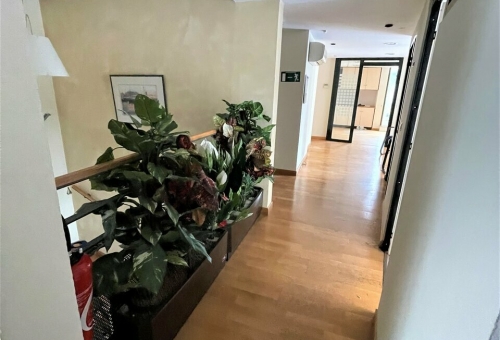 En exclusivité : LOCAL COMMERCIAL - BUREAUX COMMERCIAUX A LOUER A MONTPELLIER