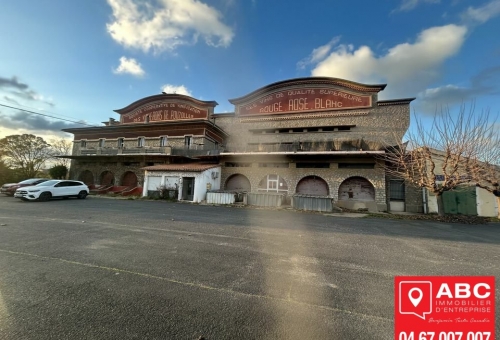 LOCAL D'ACTIVITE A VENDRE A POUZOLLES 