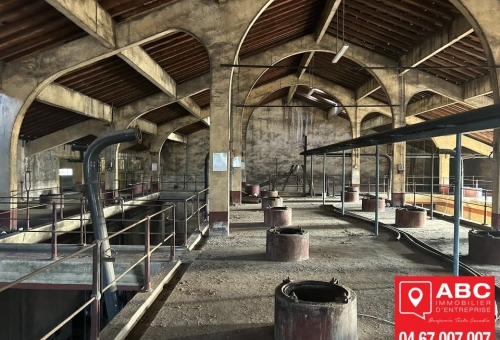 LOCAL D'ACTIVITE A VENDRE A POUZOLLES 
