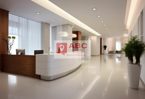 BUREAUX A LOUER A MONTPELLIER 