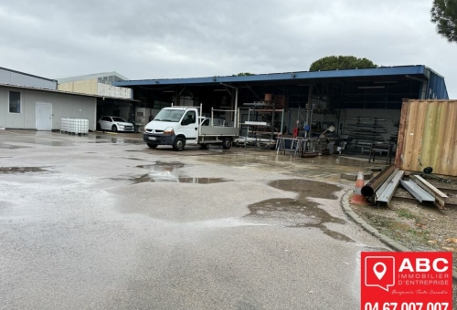LOCAL ACTIVITE A VENDRE A SAINT ESTEVE